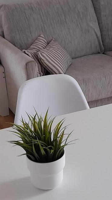 Terrassa-Solarium Centre Apartment ปลาตจาดาโร ภายนอก รูปภาพ